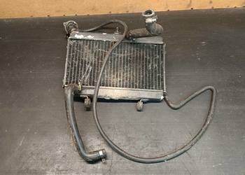Chłodnica wody cieczy chłodzącej części Yamaha TDR 125 belgarda belgrada