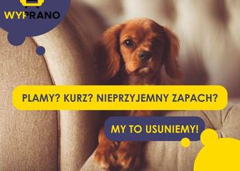 Profesjonalne pranie materacy mebli i dywanów | Warszawa | OD 140 zł