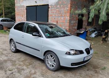 Seat Ibiza 6L 1.9tdi ATD malowany wałkiem