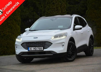 Ford Kuga FV23% RadarACC Head Up Navi Kamera Ledy Virtual Blis ParkAssist …