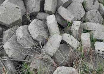 Trylinka betonowa