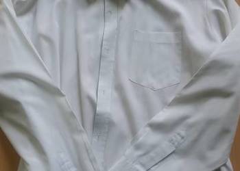 42-43, 176-182, L-XL, koszula męska z kołnierzykiem, eleganc