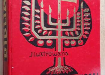 Ilustrowana Biblia Młodych