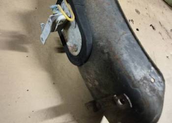 Komar błotnik tylny