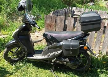 Skuter Zipp toros eltrapo