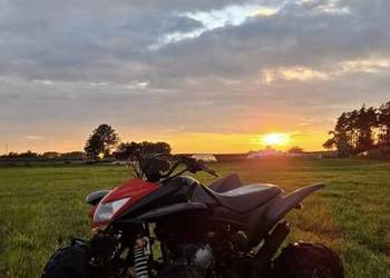 quad hsun/hisun hs400 (yamaha bashan atv)