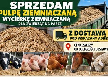 wycierka pulpa ziemniaczana