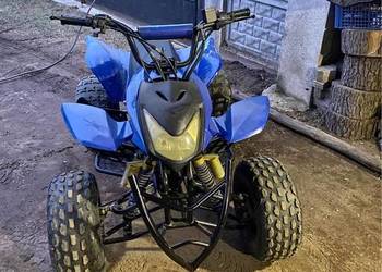2010 ATV 125 Pilnie
