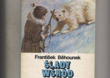 Ślady wśród lodów - Behounek