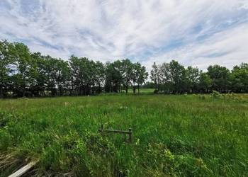 Sprzedam działkę 0,45ha plus 3ha ziemi