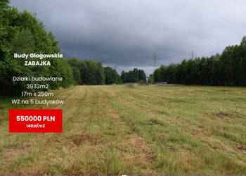 Działki budowlane 39a w Budach Głogowskich