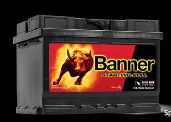 Akumulatorl 60Ah 480A Banner Starting Bull