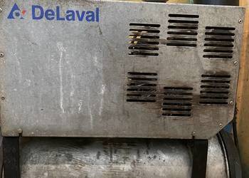 Dojarka trzykonwiowa