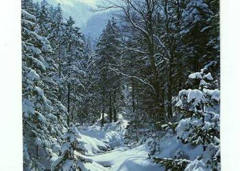 TATRY ZACHODNIE DOLINA BIAŁEGO