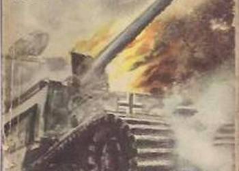 ŻÓŁTY TYGRYS - SYGNAŁ STAL - KONECKI T.