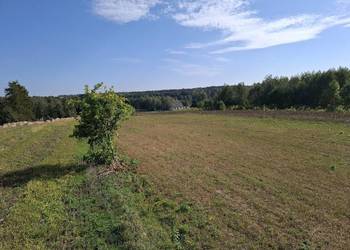 Działka budowlana 1600 mkw.