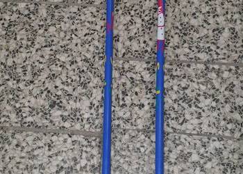Kijki do nart biegowych SWIX 75 cm