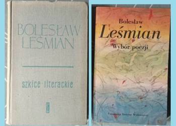 B.Lesmian - Szkice literackie/ Wybór poezji/ poezje/Leśmian/