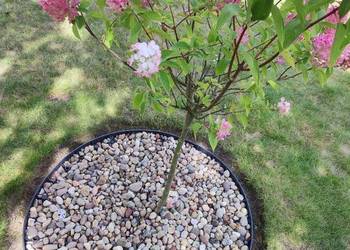 witam oferuje pomoc w ogrodzie