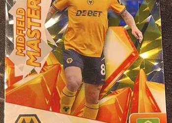 Panini karty piłkarzy Premier League 2025