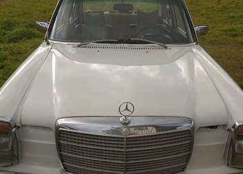 Mercedes w 115 stan bardzo dobry Mercedes w 115 stan bardzo dobry