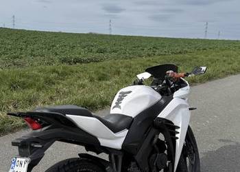 Romet Arrow FLY 125 zarejestrowany na 50 na kategorie AM