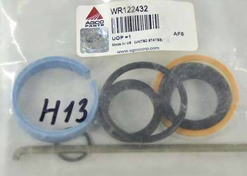 WR122432 Zestaw naprawczy cylindra hydraulicznego Massey Ferguson (AGCO PAR