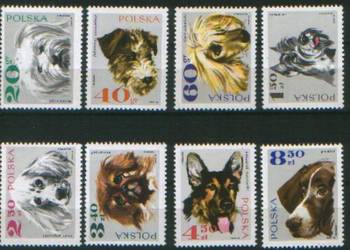 Zn. Fi 1751 - 8 **  1969