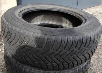 Nokian zimowe 2 szt
