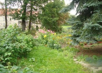 Oferta sprzedaży lokalu 500m2 Wałbrzych