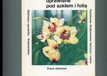 kwiaty cięte uprawiane pod szkłem i folią