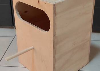 budka  Mnicha nizinna