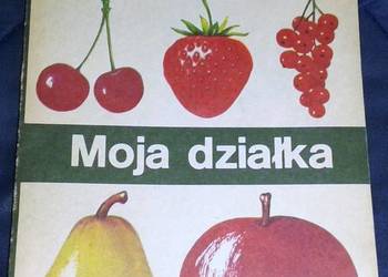 ABC Sadownictwa. Moja działka  - Augustyn  Mika