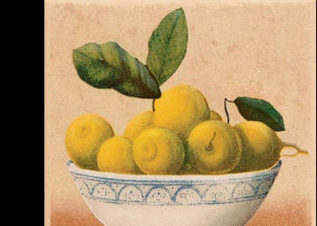 Płytka Gloria beige Cytryna 10 x 10, Paradyż, płytki, kafelki, flizy