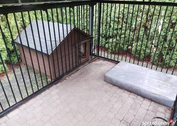 Buda dla psa, duża, ocieplana plus podest