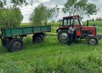 Ciągnik rolniczy Ferguson MF 255