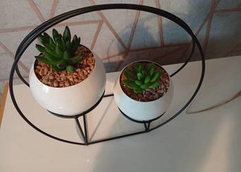 Zestaw sukulentów na metalowym stojaku