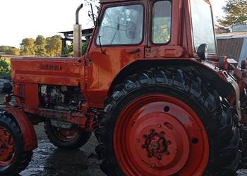 MTS MTZ 80 Białoruś Belarus 1985