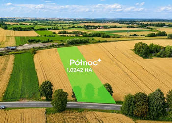 1 ha pola w granicach miasta Hrubieszów
