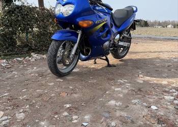 Suzuki GSXF 600 2002