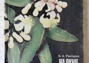 Na oknie kwitną cytryny S.A.Pieniążek
