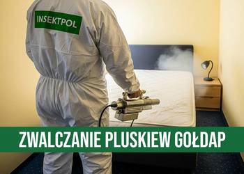 Zwalczanie pluskiew Gołdap - Odpluskwianie, Dezynsekcja