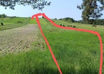 Oddam w dzierżawę działkę pole rolne na Wzgórzu
