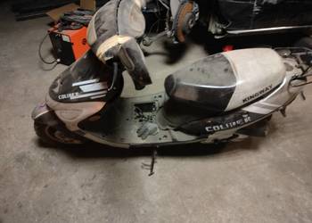 Skuter 50, kingway,