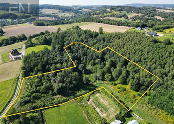 Działka Dobrzechów 13100m2