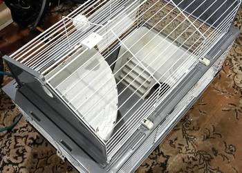 Klatka dla królik świnka  szynszyli