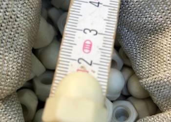 Nakrętki nakrętka m6 wys: 1,5cm plastikowa Nakrętki nakrętka m6 wys: 1,5cm plastikowa