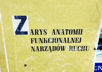 Zarys anatomii funkcjonalnej narządów ruchu