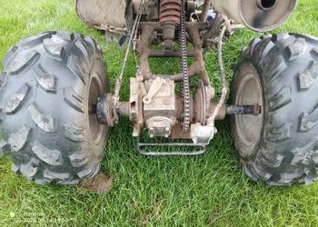 Quad 125 Automat