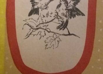 O czterech warszawskich pstroczkach Jurgielewiczowa piękne